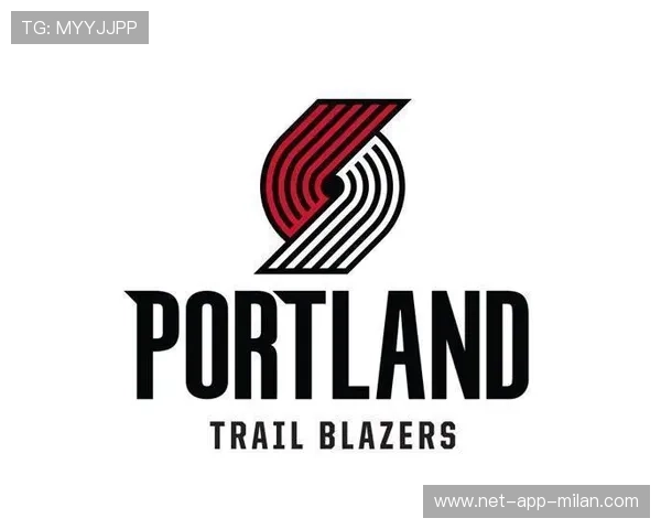 NBA球队组织架构优化与管理效率，nba球队的管理模式